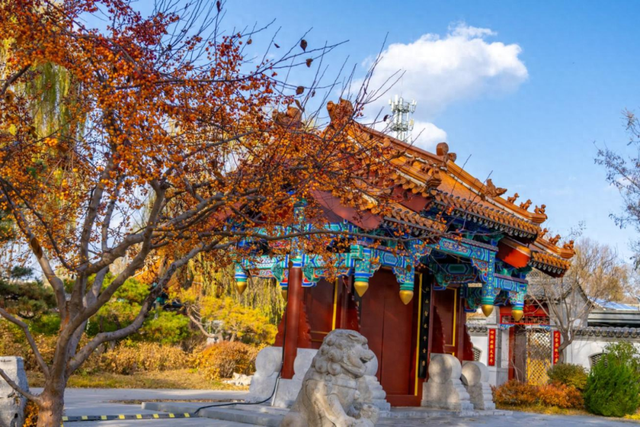 世园冬日海棠红，群鸟争食绘共生