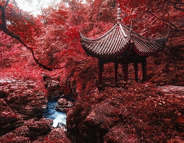 山雾里的红枫与悬亭