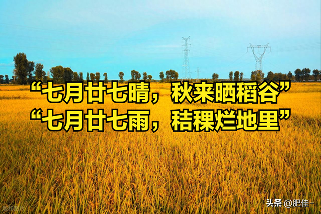 十月二十七号是什么日子？（七月廿七晴）