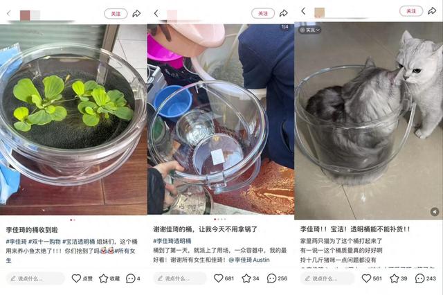 双11透明桶走红背后：李佳琦直播间的高效供应链协作