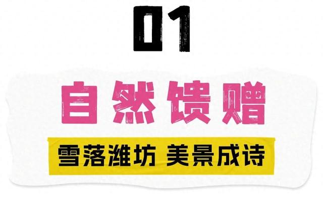 接下来的潍坊，你期待了吗？