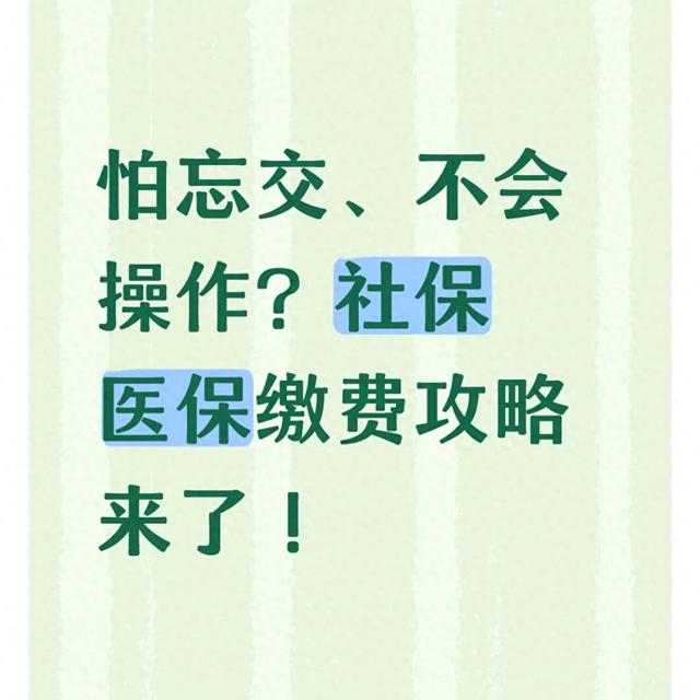 ZOL下载