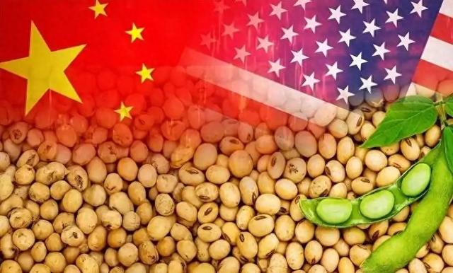 谁来拯救美国大豆？特朗普急了，豆农等不起，中国却找到了新卖家