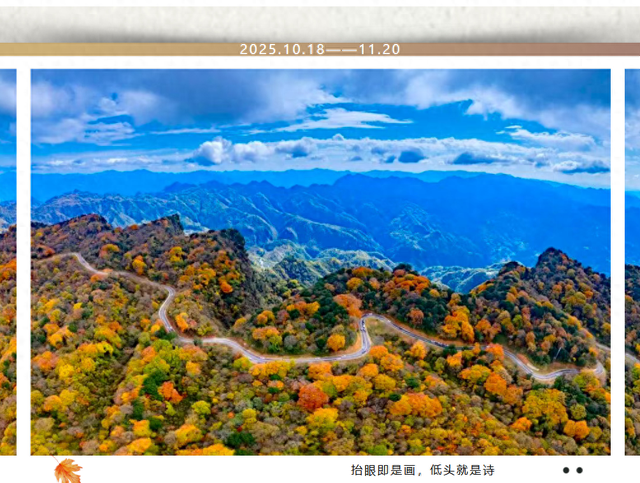 红叶寄情 米仓有约 | 旺苍向您发出秋日盛会邀请函！