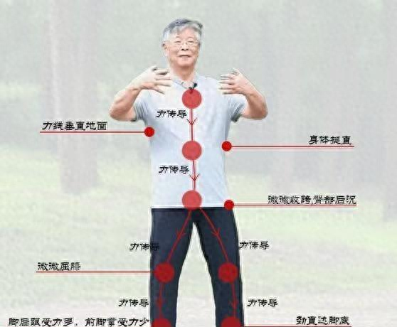 站桩遇瓶颈？揭秘“逢节必凸”调桩诀窍，一文点破窗户纸