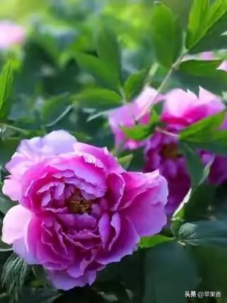 两性交往中：女人说“我去洗澡了”，其实就是在告诉你这3件事情