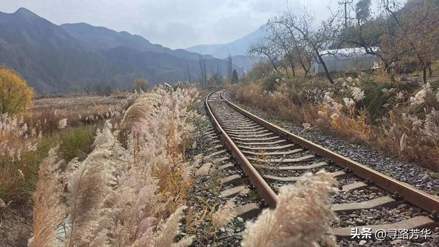 秋日行走在刘家峡的田野,竟有点点意外的收获