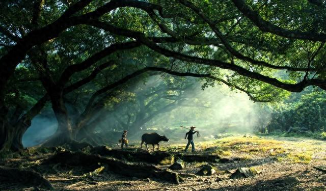 两性关系！55-65岁这十年，惜命的方式，不是锻炼，是做好这6点