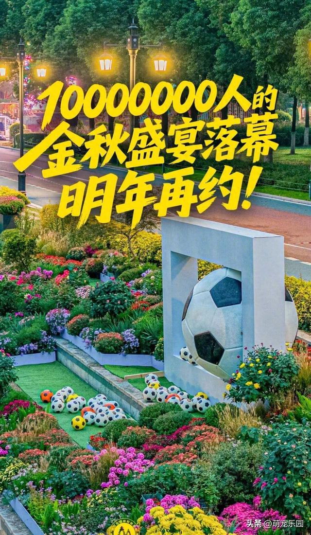 武汉菊花展60万盆花海，游客爆满，这场秋日浪漫让我心动不已