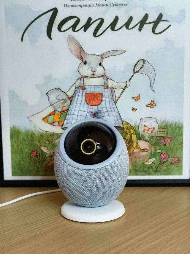 什么是具身智能摄像头？华为鸿蒙智选海雀雀蛋Pro深度评测