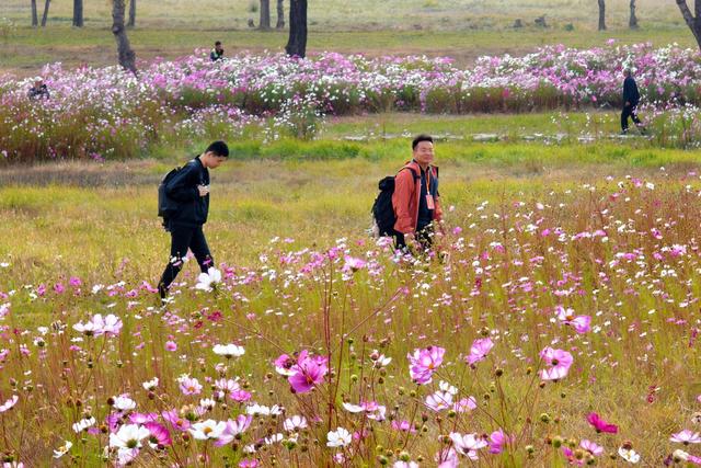 青年网络大V漫步敕勒川 感受草原生态之美