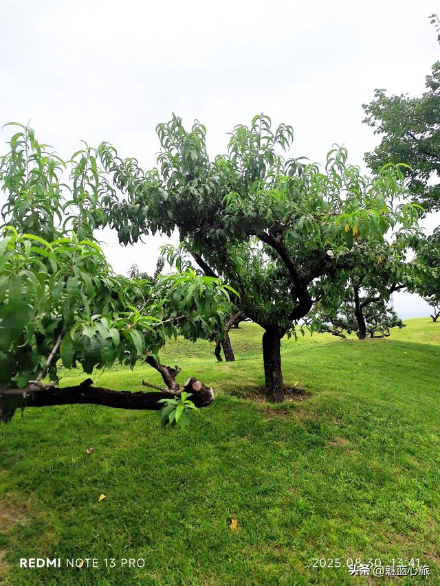秋雨中漫游终南山下的长安唐村·南堡古寨，找寻千年的古意与生机