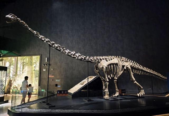 南宁亲子遛娃新地标！规划馆旁的“侏罗纪世界”，带娃玩出新鲜感