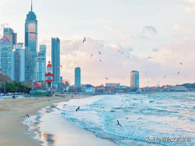 【乐游烟台】这个冬天来烟台和“鸥像”见个面！