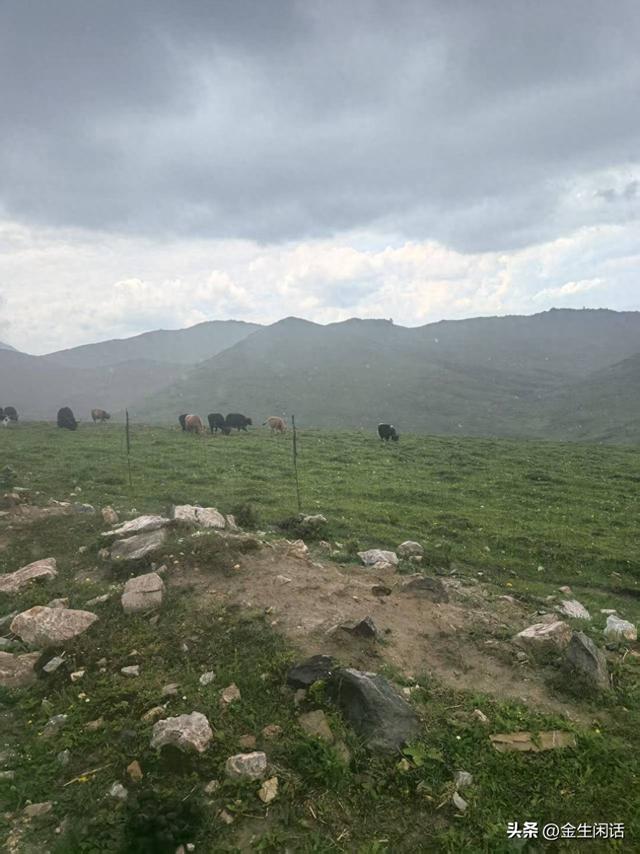 陇南武都千坝观奇