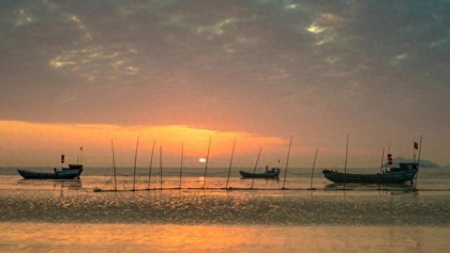298元全年玩转金山！上海湾区滨海旅游年票来了，多个景点无限次畅游