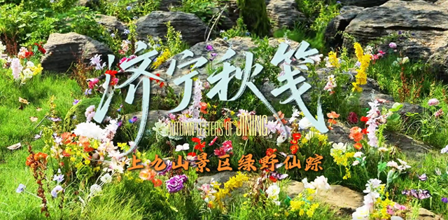 绿野深处藏着的古村秘境！上九山也太好拍了