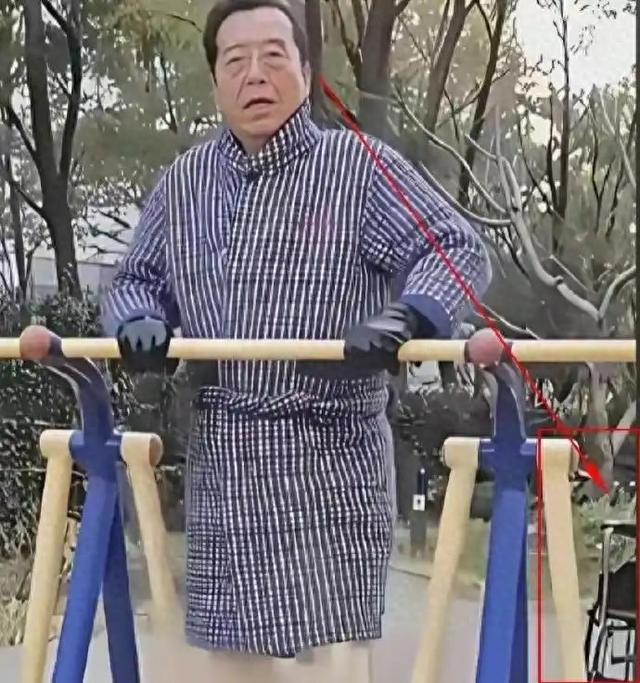 一月5万还不够花？86岁李双江仍在县城接商演，一旁轮椅惹人心疼