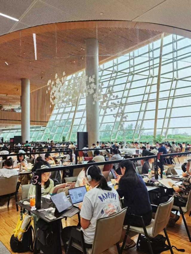 国庆长假8天：申城这些图书馆到馆几十万人次，博物馆有展览刚落幕，也有新展推出