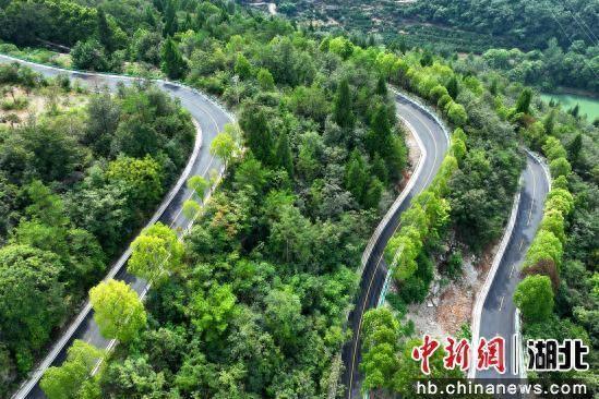 湖北夷陵：“交通+旅游”绘就乡村振兴新图景