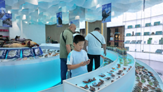 “抚远礼物”红火出圈 鱼文创接住旅游红利