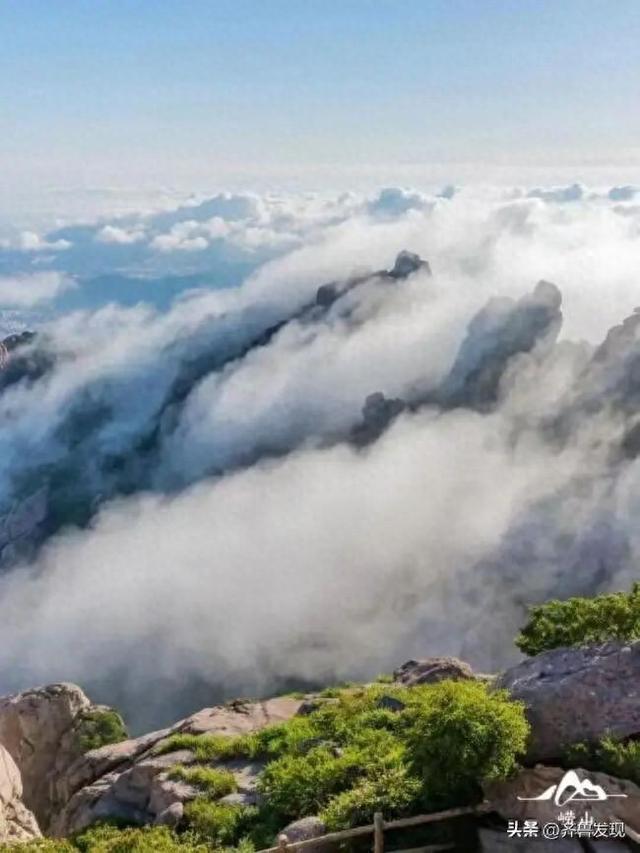 乘着地铁逛青岛丨一文说清崂山4条秋日线路