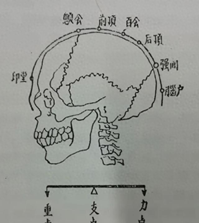 练太极总发沉？搞懂 “顶头悬”，精神一提身子就轻灵！