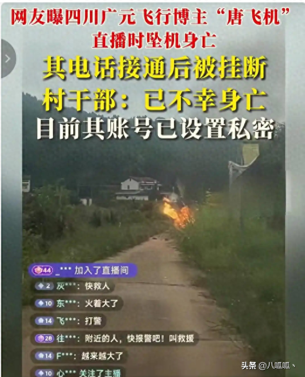 网红开飞机坠机身亡后续：飞机花了35万，烧的只剩一条腿 本可活命