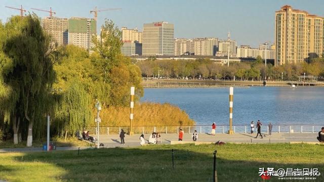 层林尽染、舞姿翩跹！昌吉滨湖河中央公园秋日美景与市民欢颜相映成趣