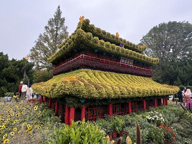 首次联动京津冀豫四地资源！2025北京菊花文化节来啦