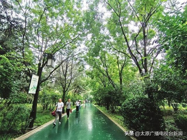 太原市民享受公园雨后美景