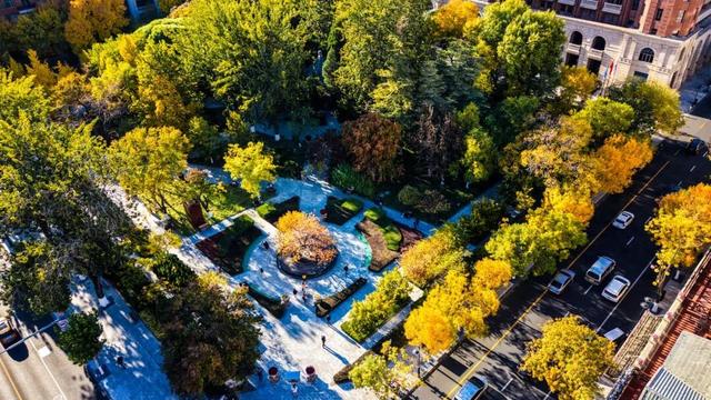 多图沉浸式感受和平秋韵