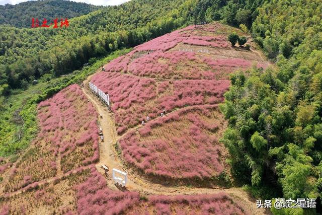 穿越大梅山，环游风景线，收获满满