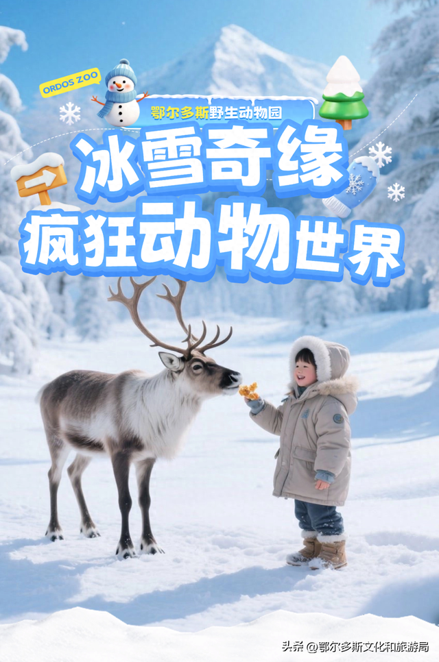 冰雪乐园×动物明星齐上阵！！buff拉满嗨翻冬日！