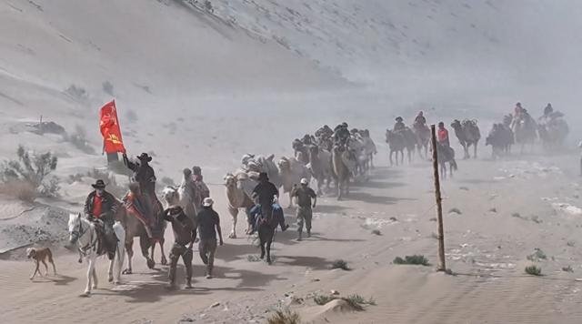 二十余人、33峰骆驼从新疆重走丝路2700公里到洛阳！河南网友“菜谱投喂”暖哭驼队