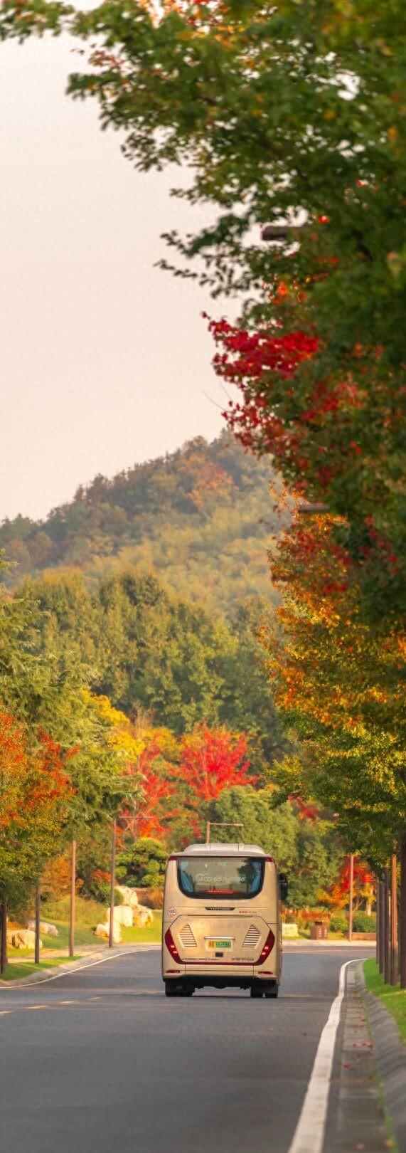 跟着这条线路，周末赏秋去！