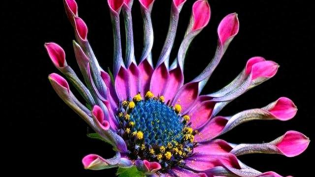 12月14日，星期日 ，白羊座，有事要浮出水面了！