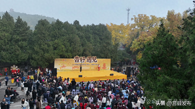 首日突破10000人！浮来山银杏季从从容容花式“宠客”！