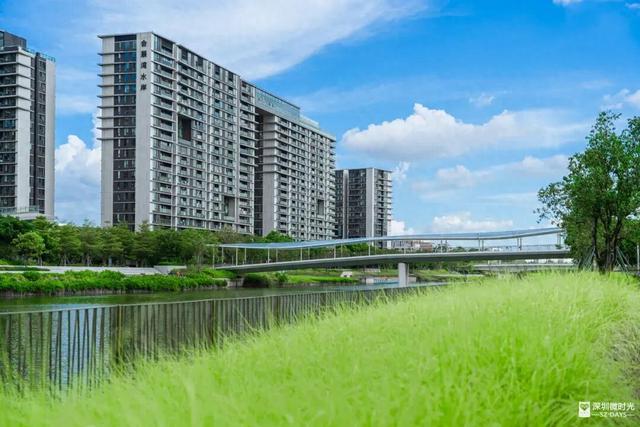 深圳新「空中公园」，看飞机、喝咖啡、溜娃…太全面了！
