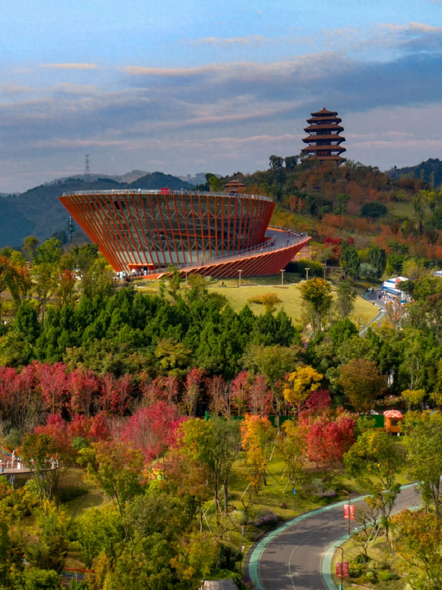 成都秋游宝藏地，周末徒步遛娃看彩林，人少景美还免费，冲鸭！