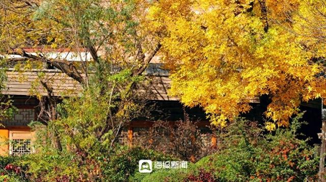 日照银河公园秋意正浓→