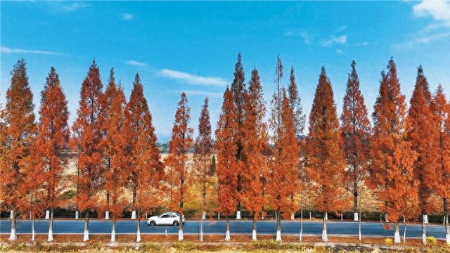 “最美公路”色彩斑斓景色美