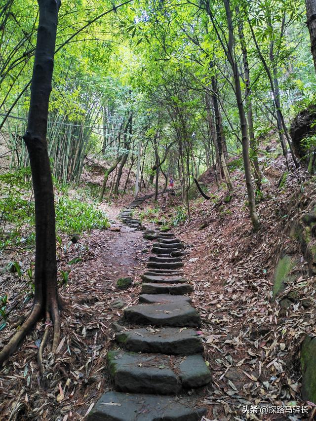 重庆主城藏了条“摆烂”步道：公交直达，轻松原始，就是有点费嘴