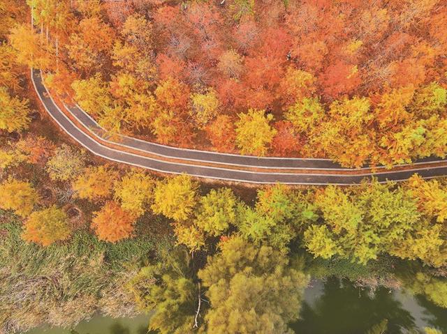 在泉州焦糖森林邂逅冬日梦幻