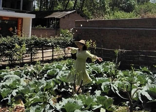 蝶误游戏攻略（只需木棍纸片四川网友再现香妃引蝶）