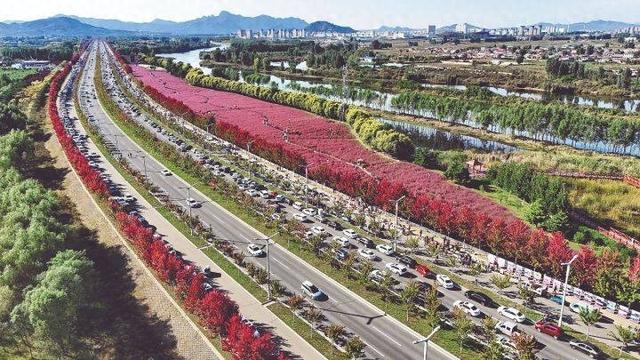 秋染秦皇共浪漫