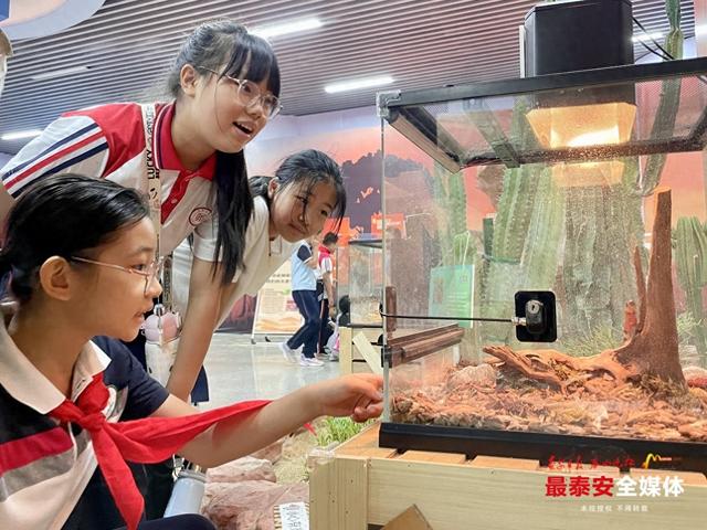 “岱”你科普：全民乐享科普月——泰安市科技馆全国科普月活动服务公众超十万人次