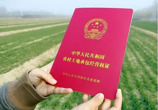 中央定调：10月1日起，农村基本农田将迎来新禁令，涉及家家户户