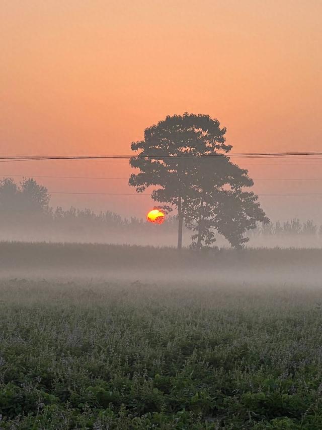 人一辈子，除了健康	，其他一切都是浮云