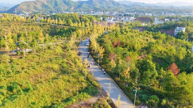 荒坡秃岭“长出”生态公园